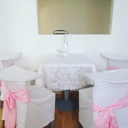 Linda 세네츠